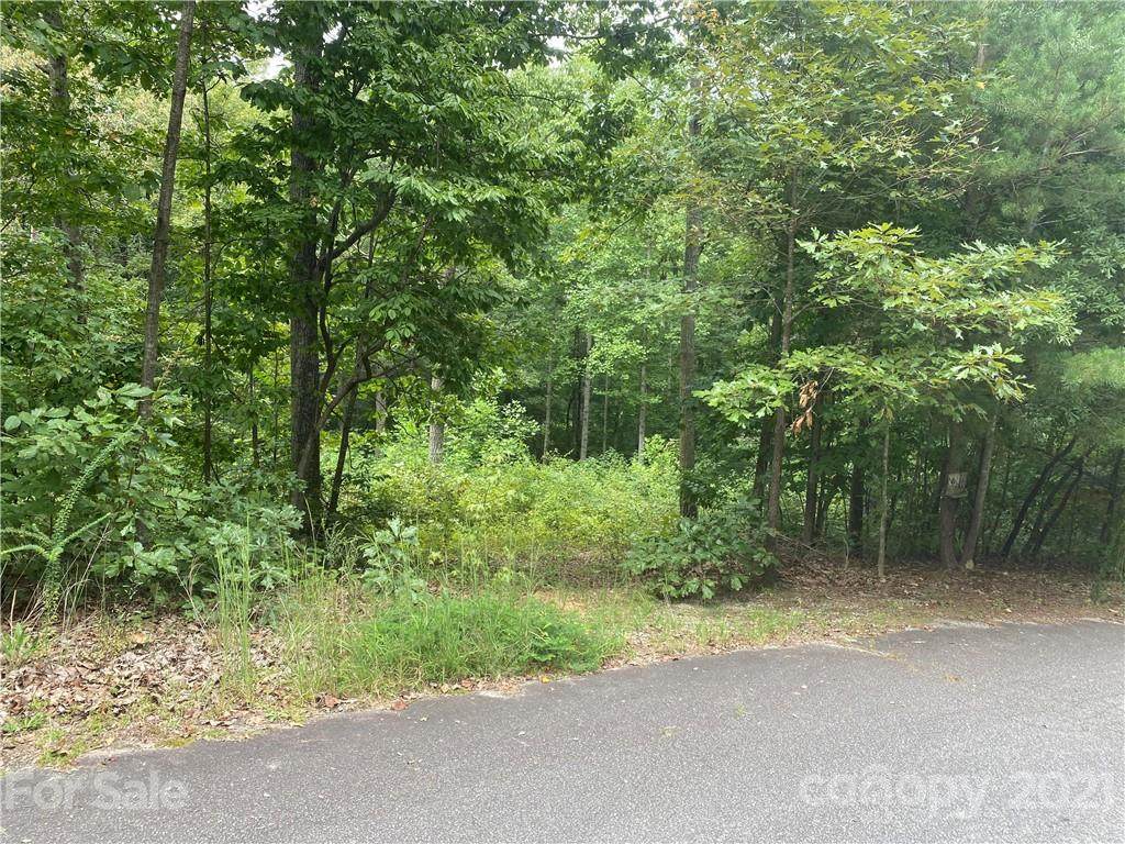 3335 Ginger Lane - Photo 1