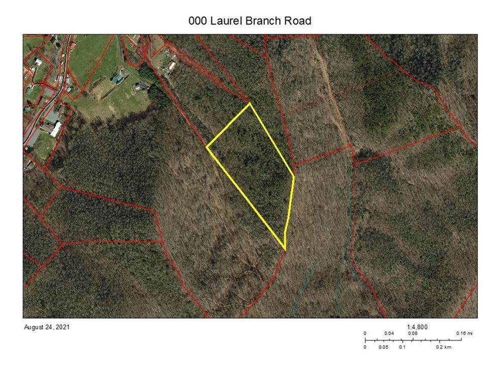 000 Laurel Branch Road - Photo 1