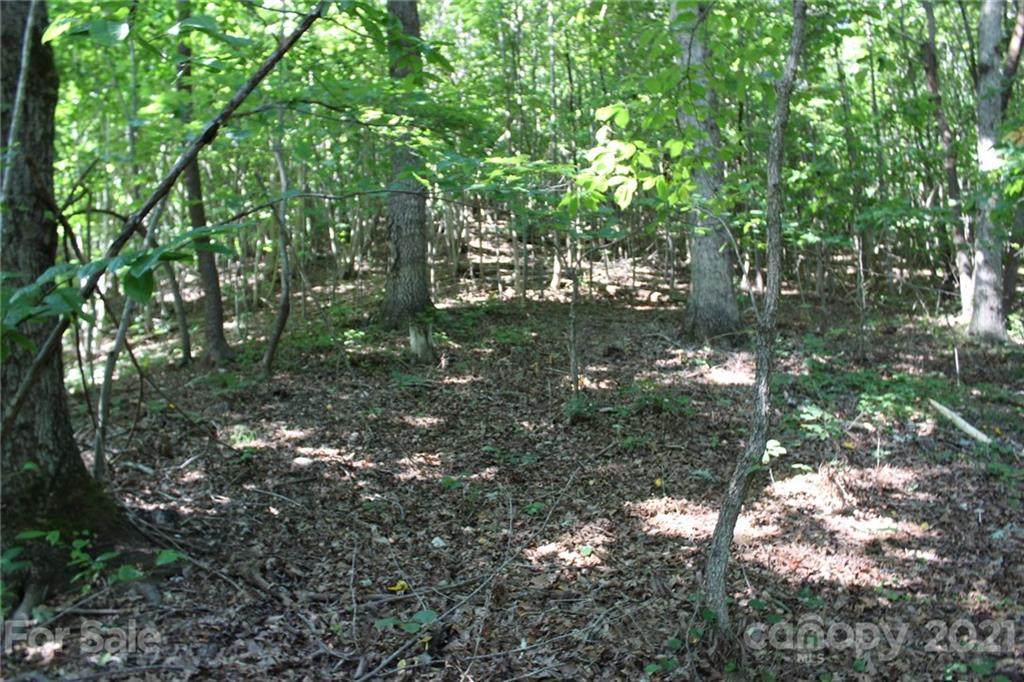 0 Fox Mountain Road - Photo 1