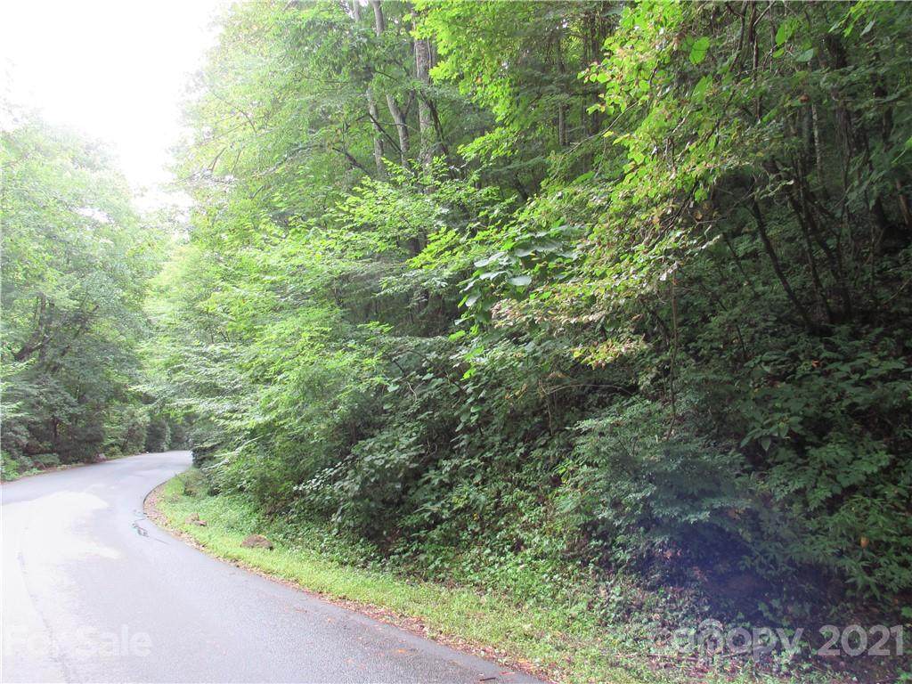 Lot 23 Village Lane - Photo 1