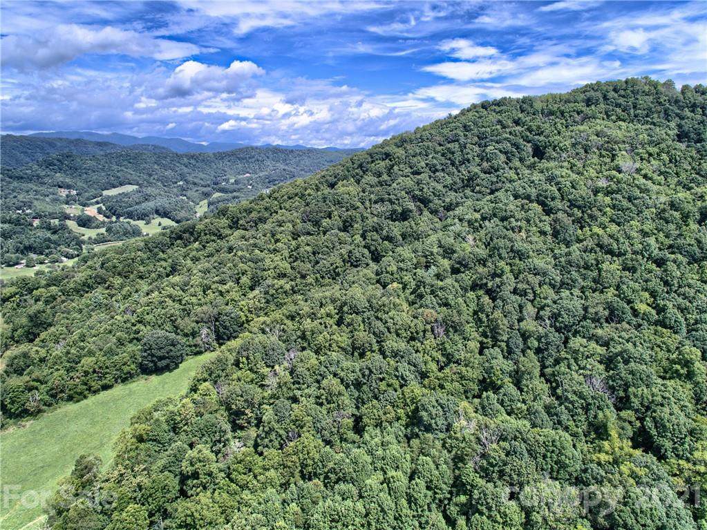 300 Turkey Creek Road - Photo 1