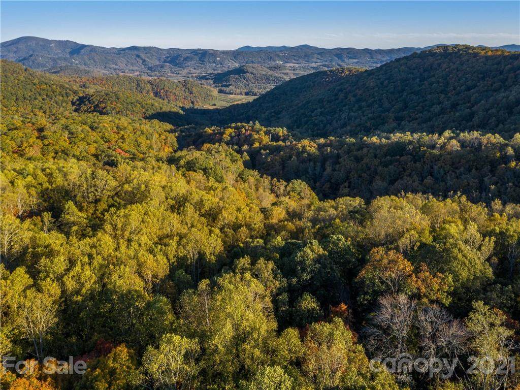 0 Dancing Bear Drive - Photo 1