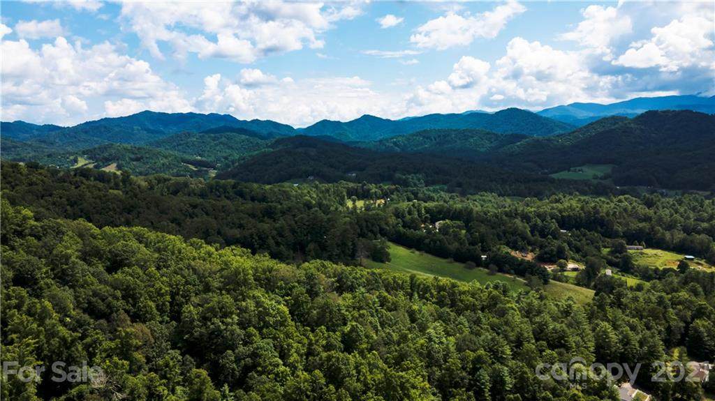 0 Lower Bailey Branch Road - Photo 1