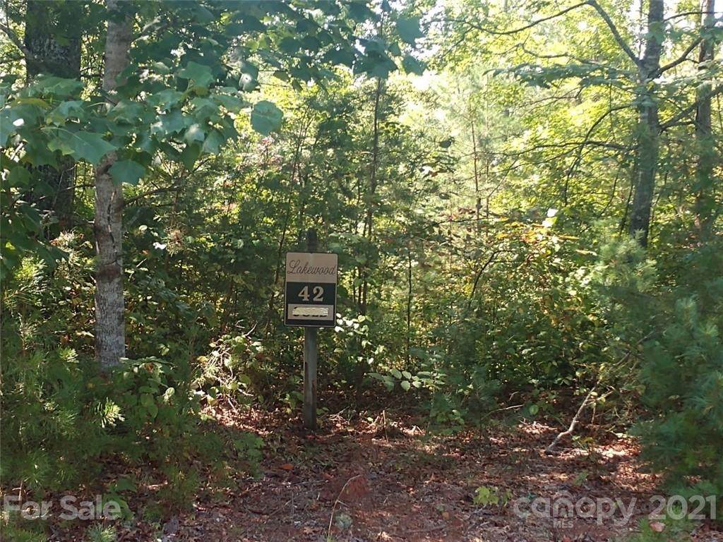 00 Bald Eagle Lane - Photo 1