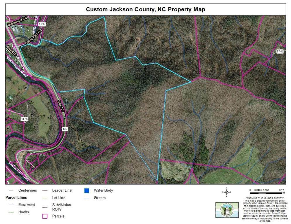 100 Caney Fork Road - Photo 1