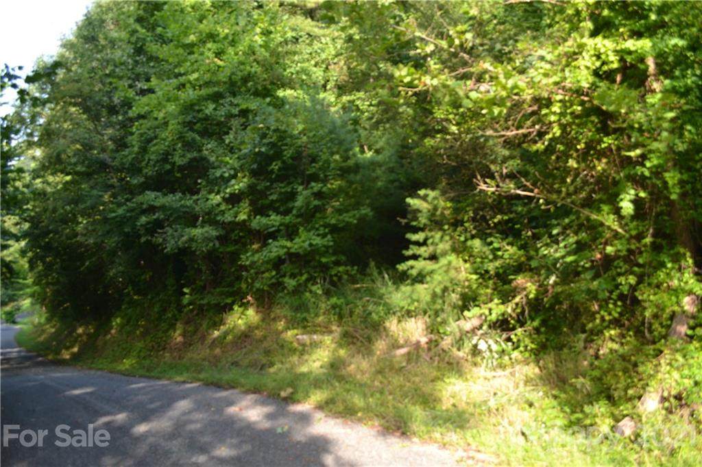 413 Chimney Rock Drive - Photo 1