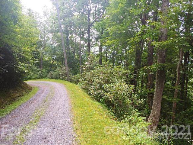 49 Hoot Owl Ridge Road - Photo 1