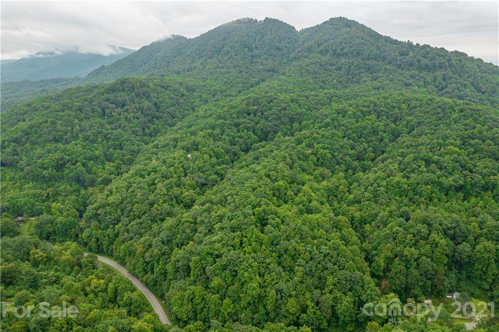 TBD Bat Cave Road - Photo 1