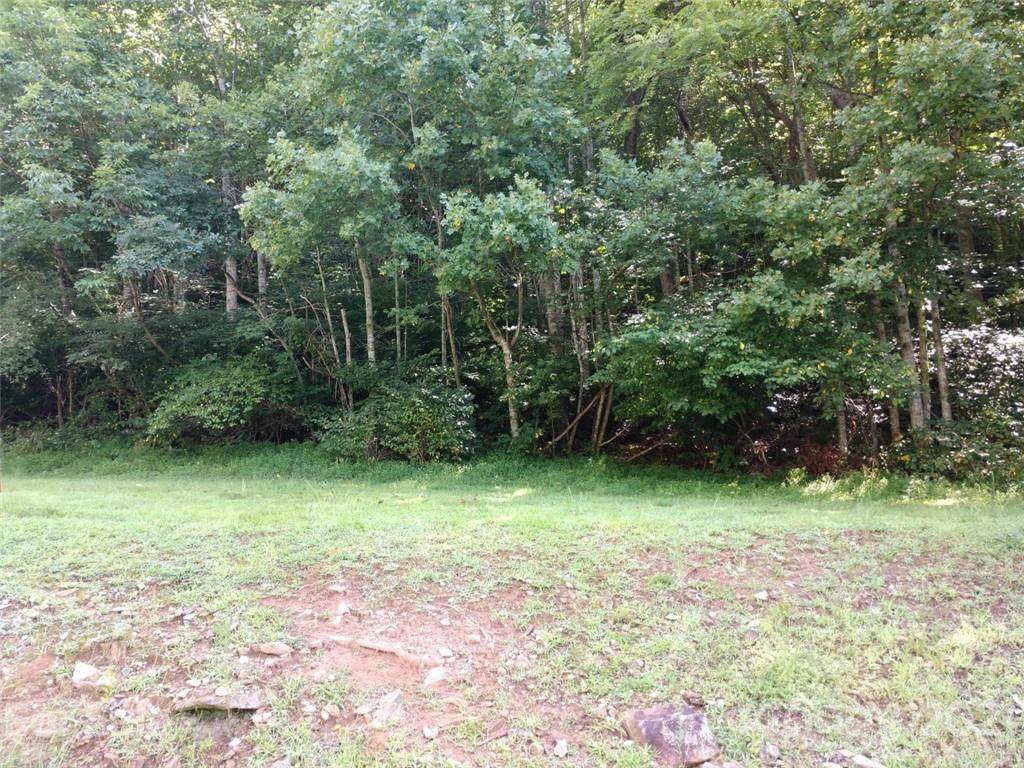 00 Holland Creek Road - Photo 1