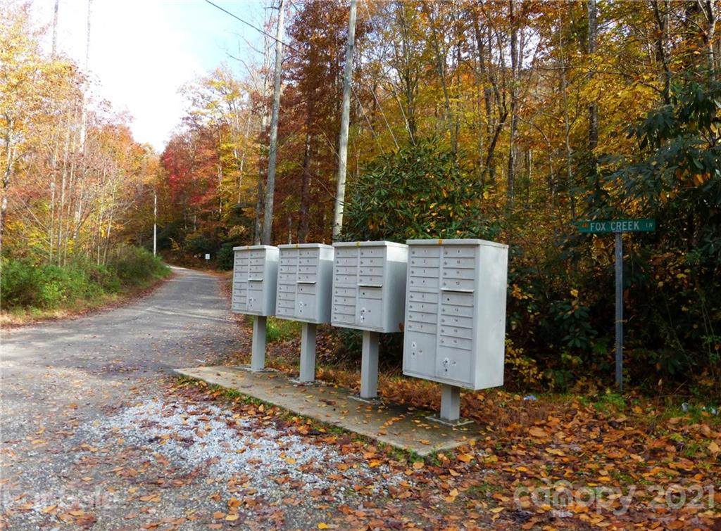 000 Tract 7 Fox Hollow Road - Photo 1