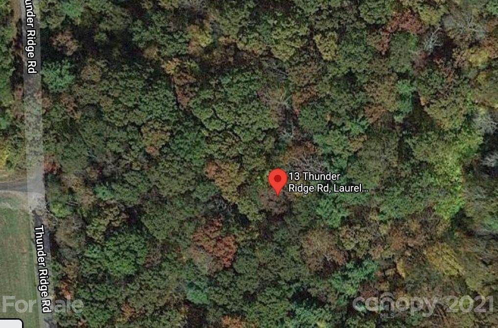 Lot 13 Thunder Ridge Road - Photo 1