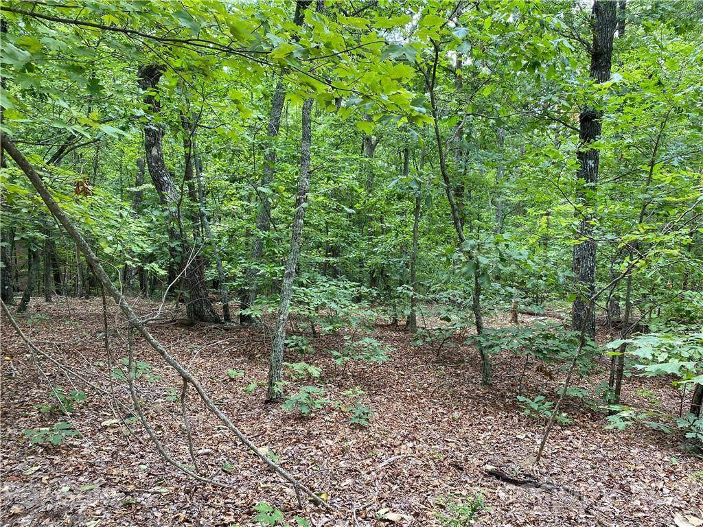V/L Fall Creek Drive - Photo 1