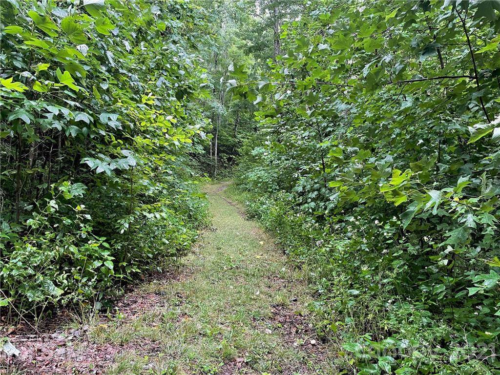 291 Long Splice Way - Photo 1