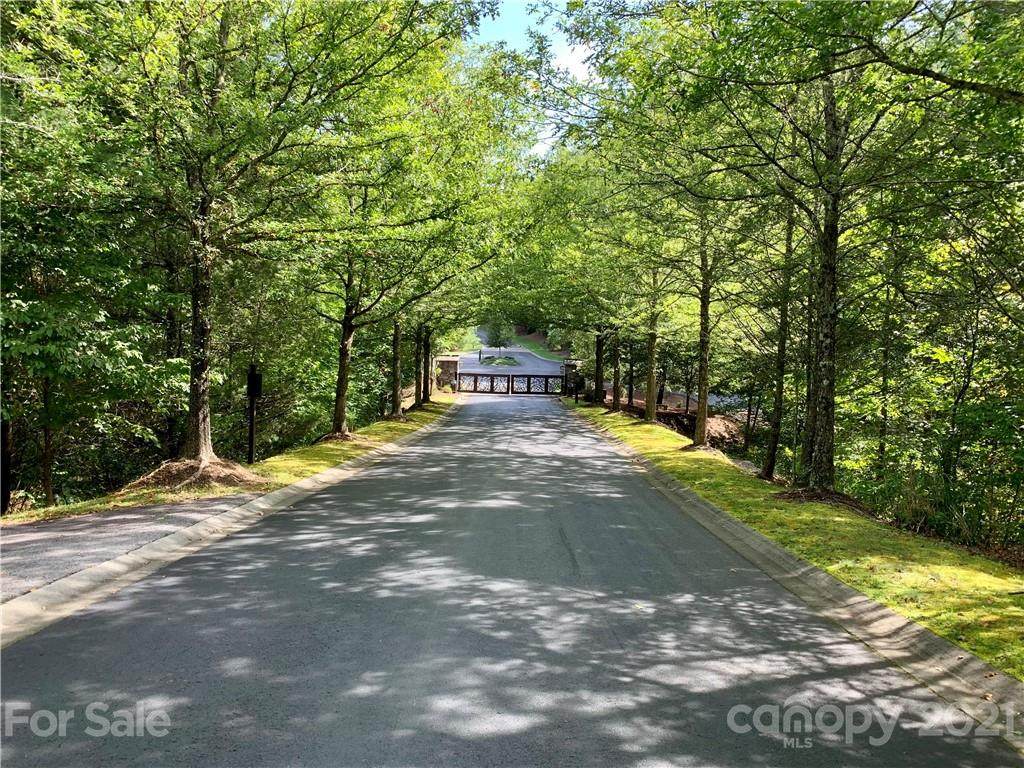 0000 Mills River Way - Photo 1