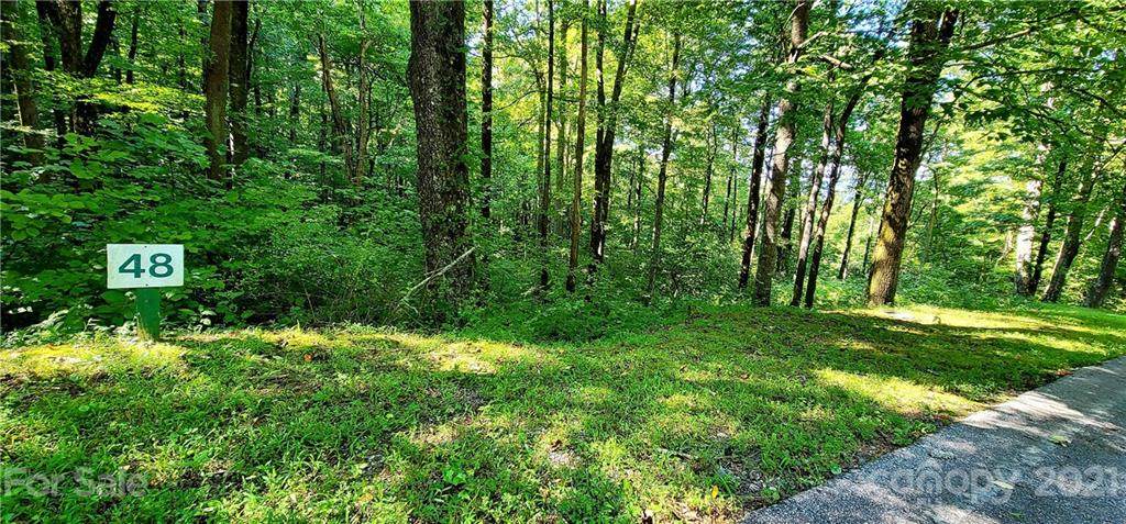 0 Wild Magnolia Way - Photo 1