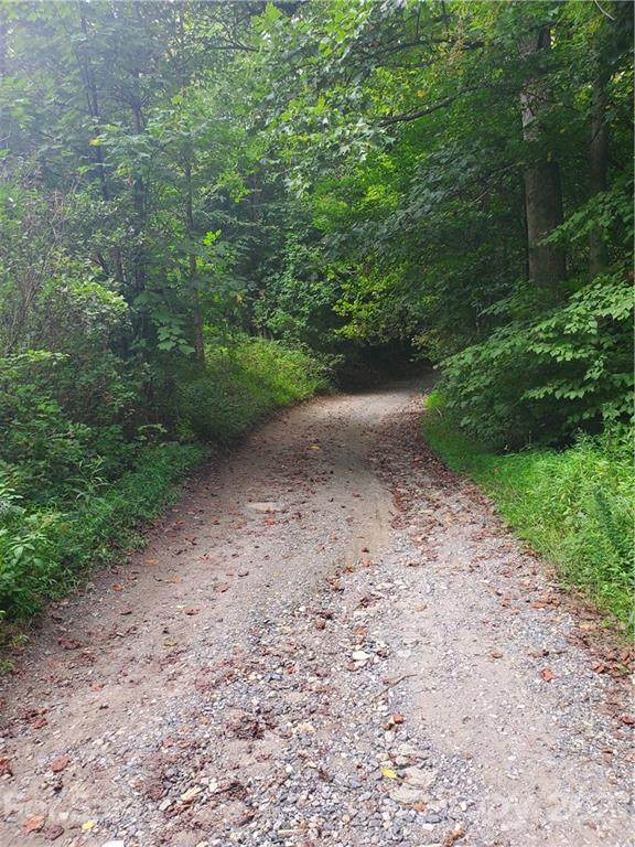 983 Rector Branch Road - Photo 1