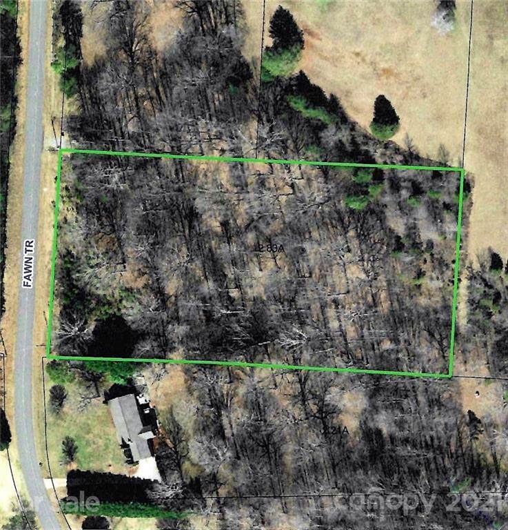 1210 Fawn Trail - Photo 1