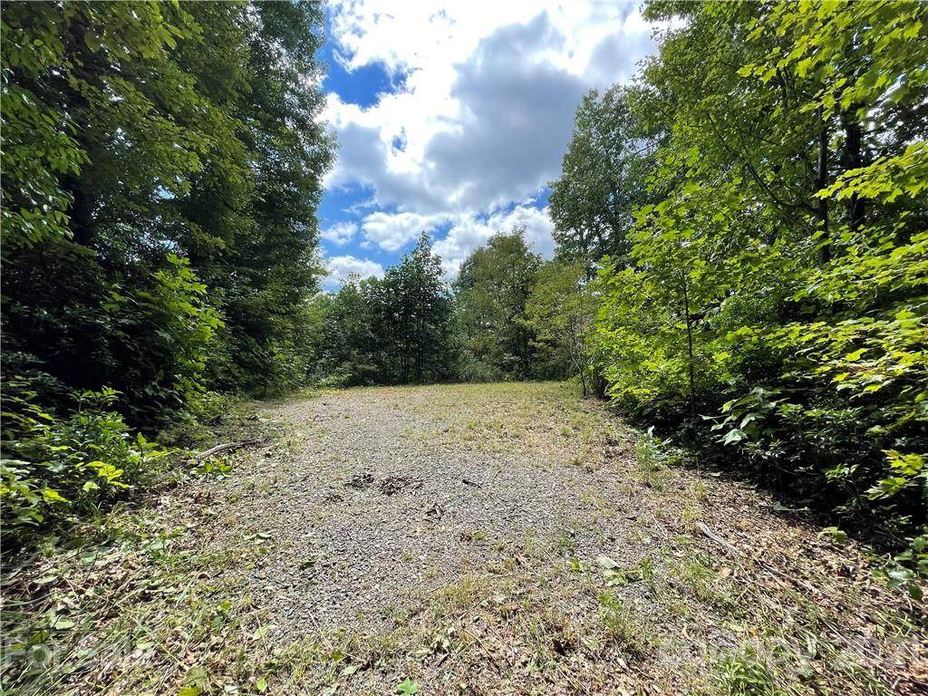 10 +/- Acres Forest Brook Drive - Photo 1