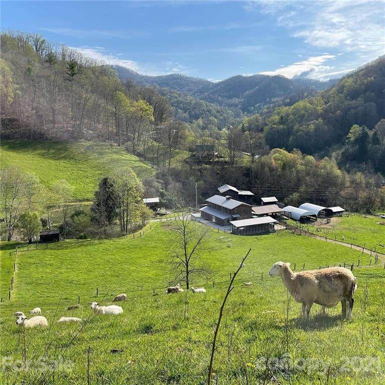 215 Meadow Branch Road - Photo 1