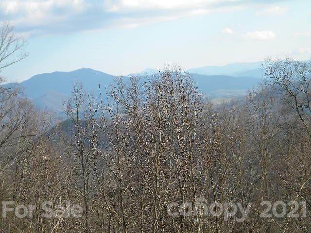 19 Buck Mountain Road - Photo 1