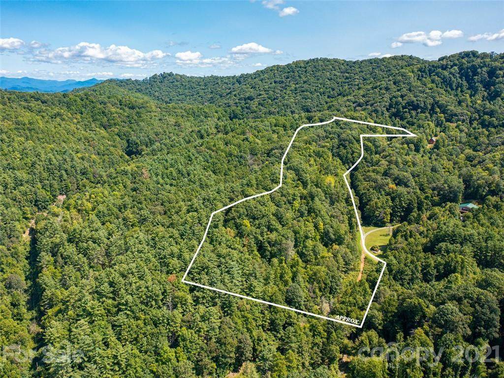 000 Meadow Fork School Road - Photo 1