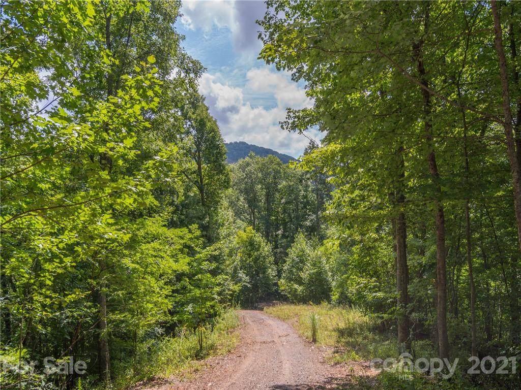 000 Wolf Laurel Road - Photo 1