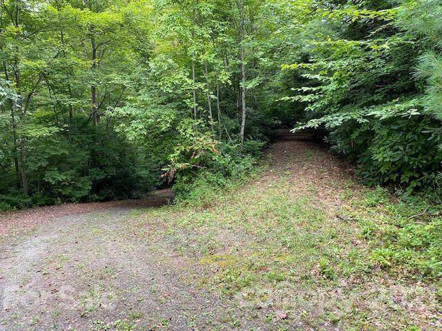 Lot 3 Fiddle Fern Loop - Photo 1