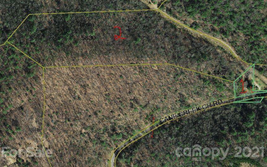 1697 Cane Creek Church Road - Photo 1