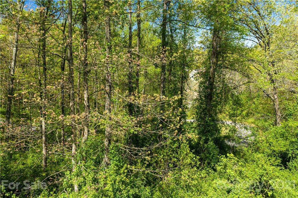 12 Tulip Poplar Trail - Photo 1