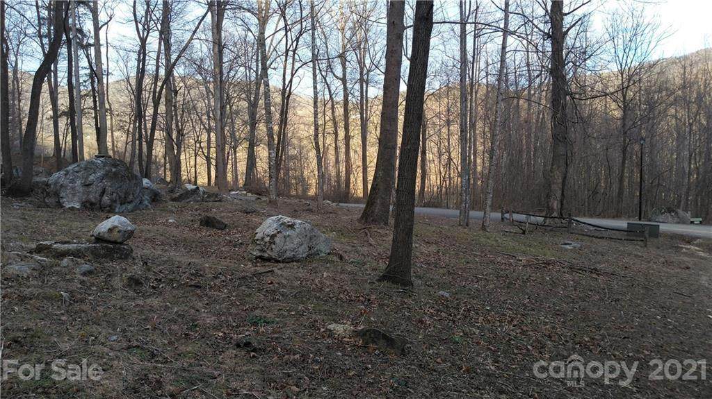 Lot 8 Blue Ridge Drive - Photo 1