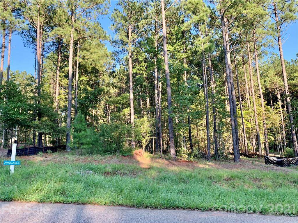 6288 Chimney Bluff Road - Photo 1