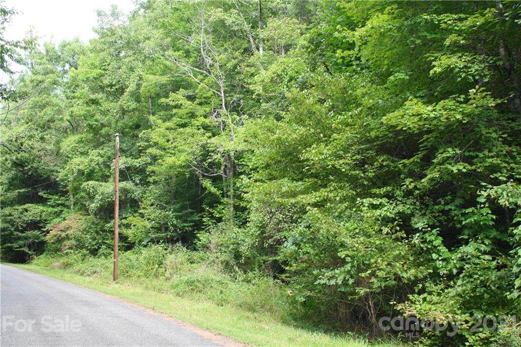 99999 Old Burnsville Road - Photo 1