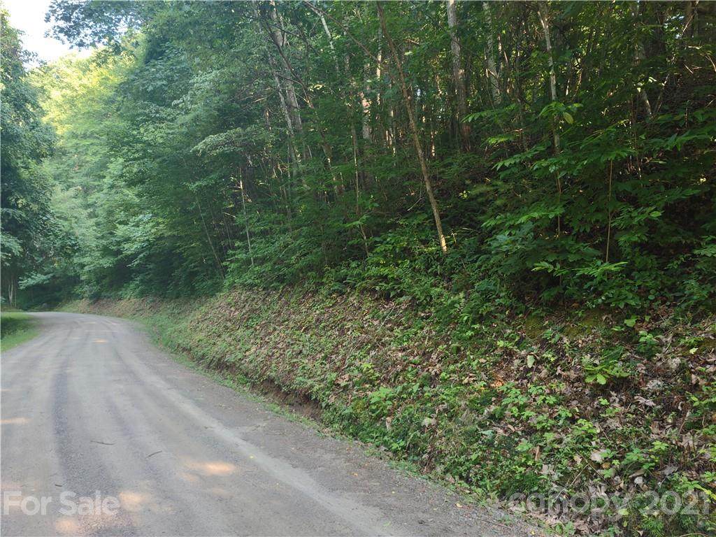Lot 44 Hunters Ridge Road - Photo 1