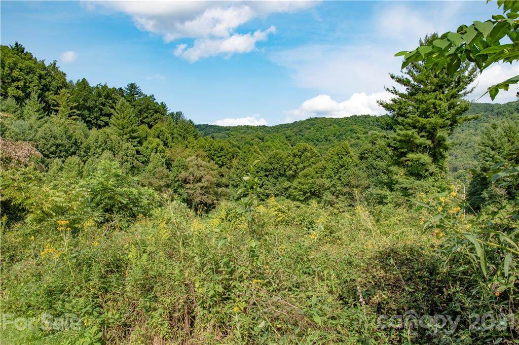 6200-B Meadow Fork Road - Photo 1
