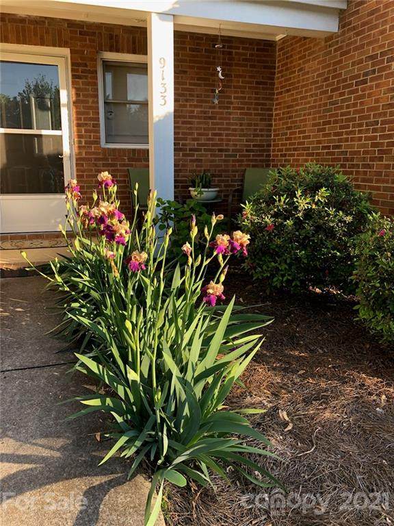 9133 Kings Canyon Drive - Photo 1