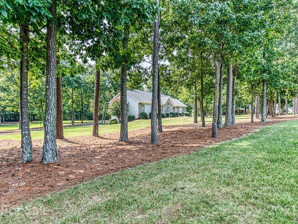 5503 Goldmine Road - Photo 1