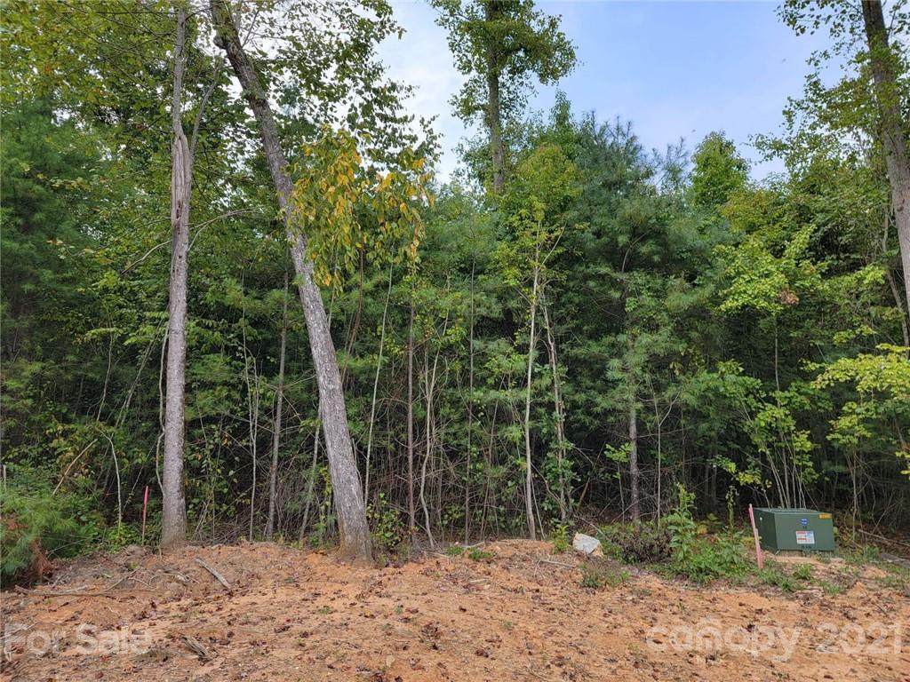 0000 Mine Gap Road - Photo 1