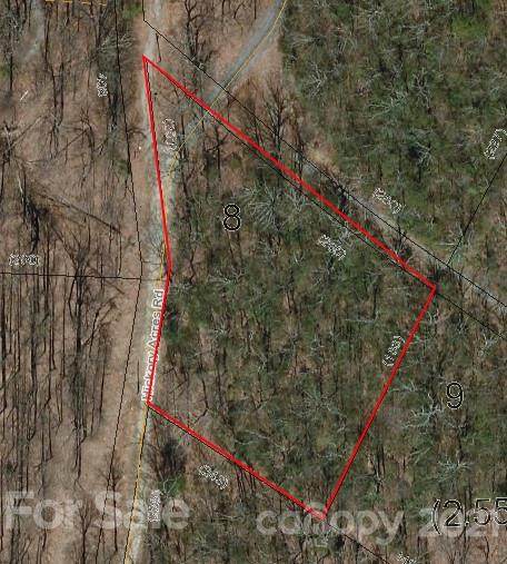 0 Hickory Acres Road - Photo 1