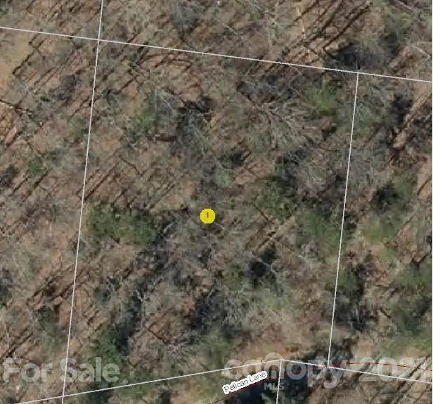 0 Pelican Lane - Photo 1