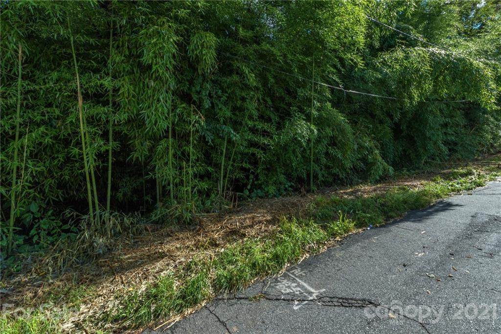 30,34,38 Bellaire Road - Photo 1