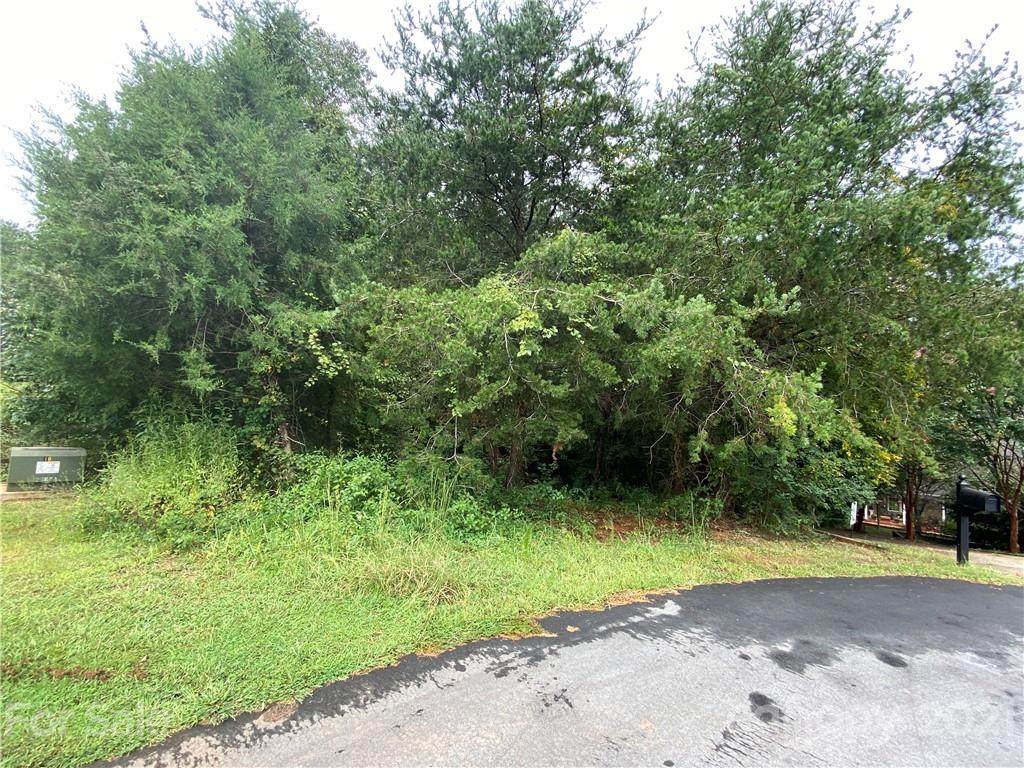 LOT 21 Spike Lane - Photo 1