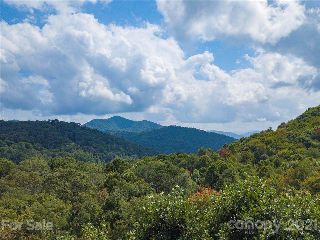 Lot 42 & PT 40 Glade Mountain Road - Photo 1