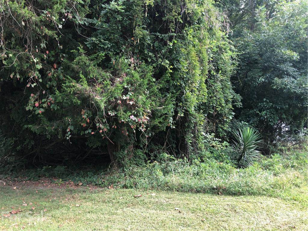 Lot 16 Magnolia Street - Photo 1