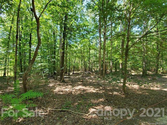 TBD Lester Davis Road - Photo 1