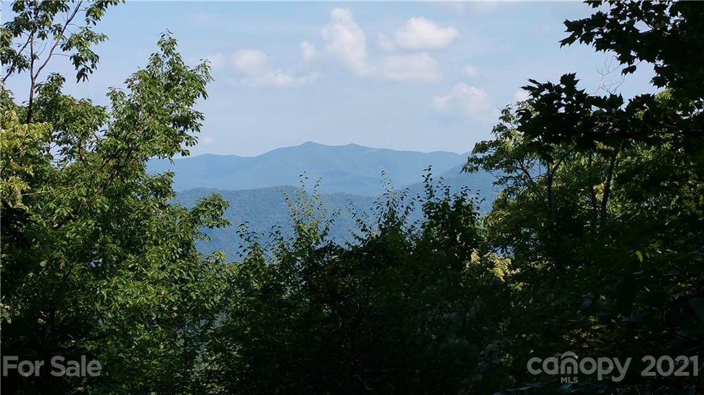 9999 Lytle Cove Road - Photo 1