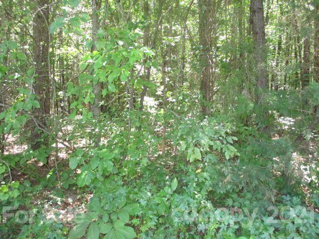 0000 Old Greenbriar Circle - Photo 1