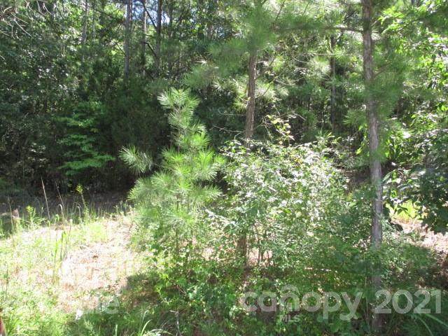 0000 Old Greenbriar Circle - Photo 1