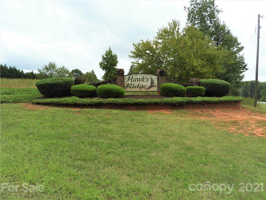 0 Hawks Ridge Drive - Photo 1