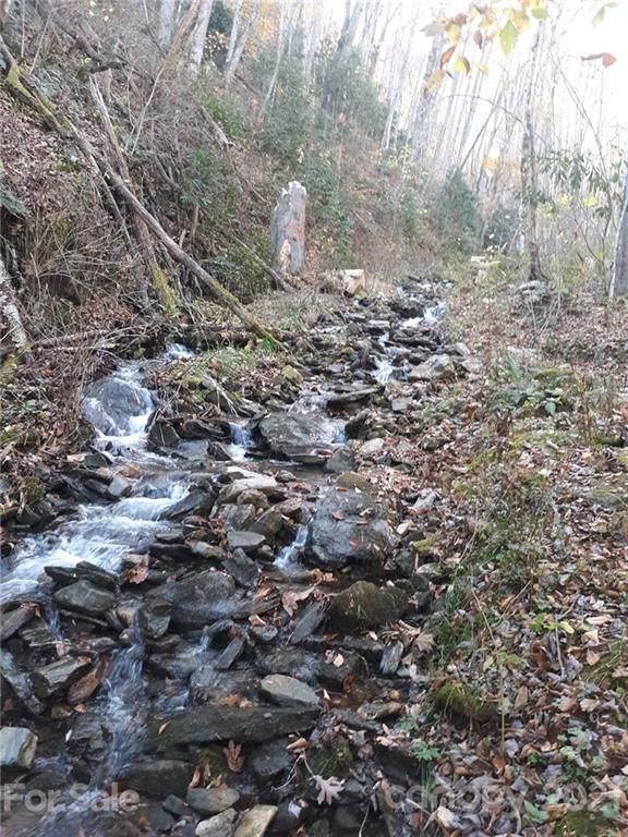000 Monteith Branch Road - Photo 1