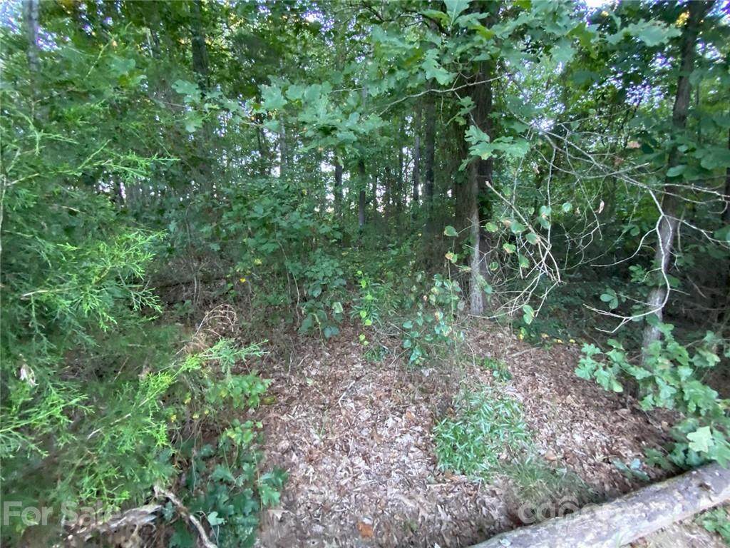 00 Fallen Oak Trail - Photo 1